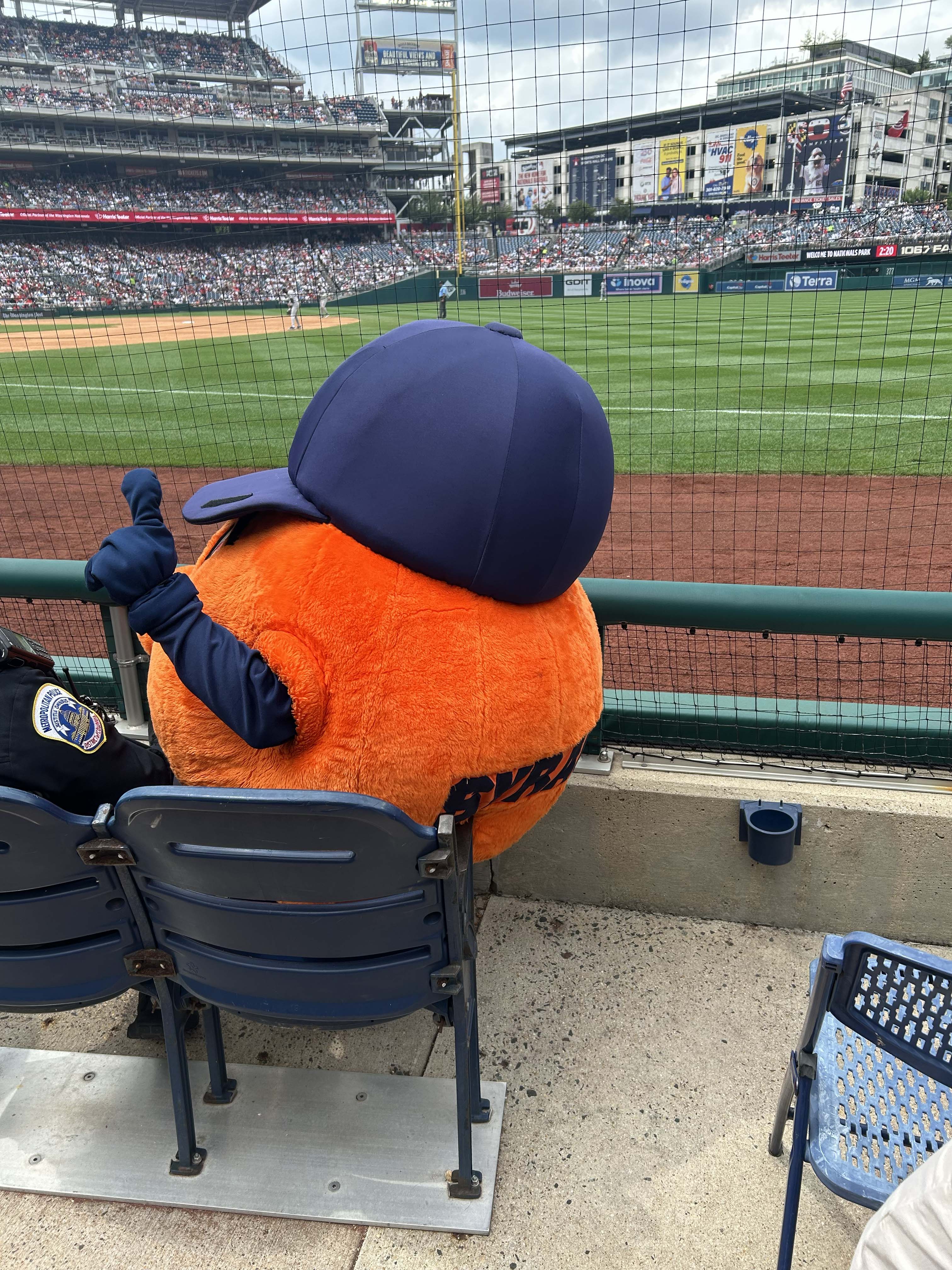 Otto sitting and watching the nationals play