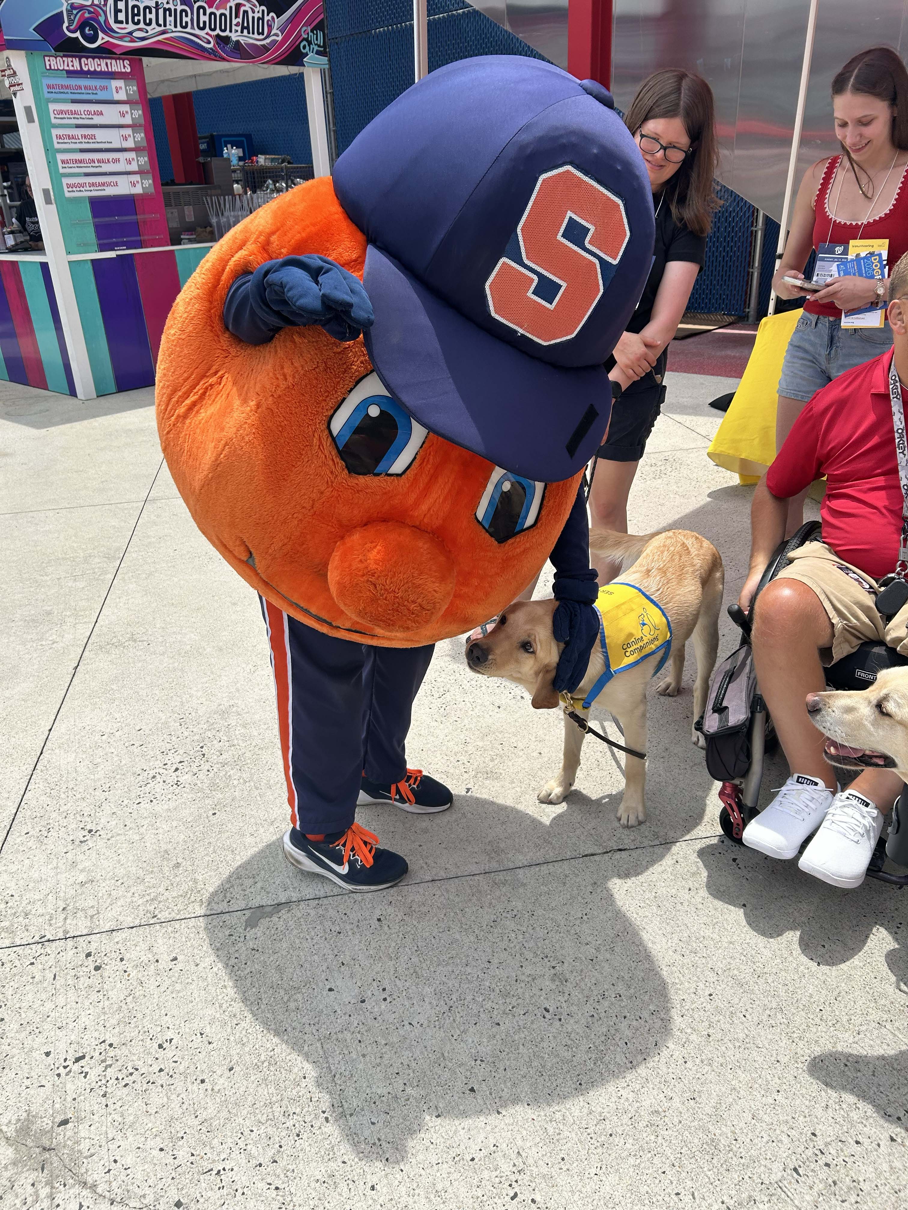Otto petting a service dog
