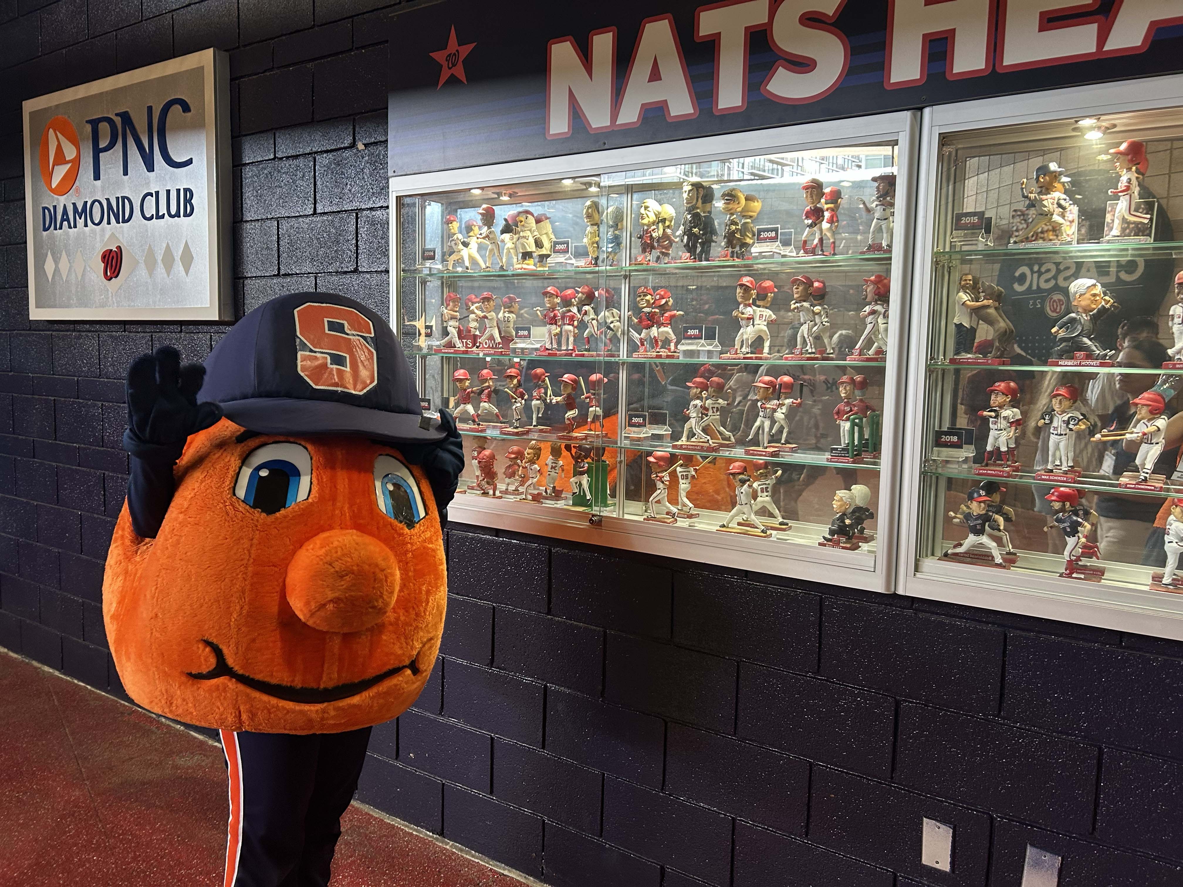 Otto petting looking at trophies