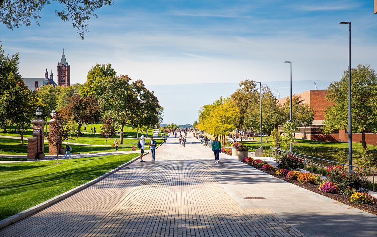 People walking down a walkway surrounded by trees and buildings