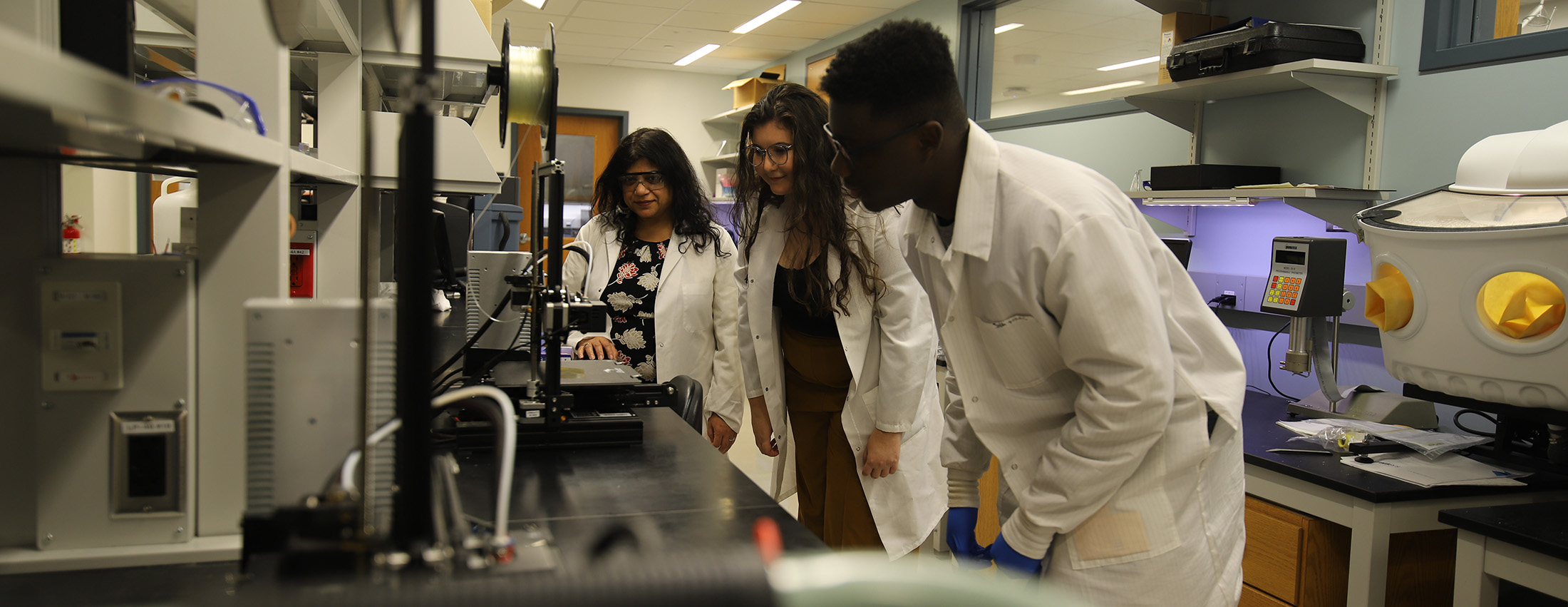 Researchers in the Bioinspired Institute
