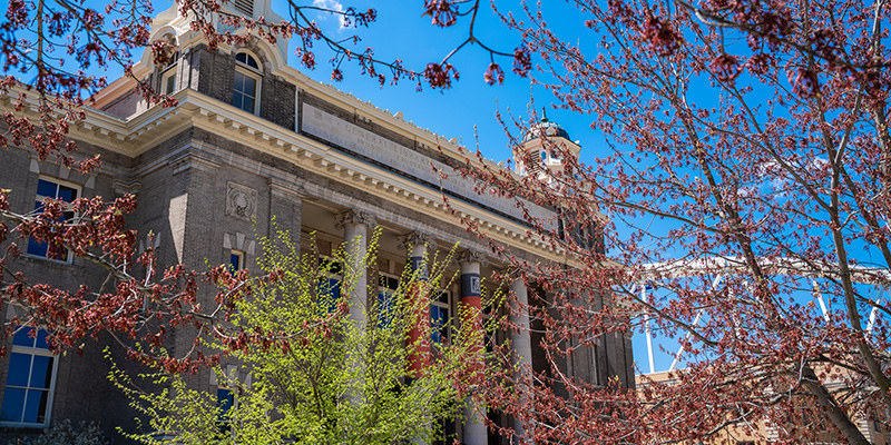 Spring Trees in front of Carnegie Library