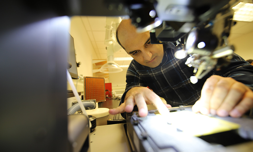 Younes Radi in his lab