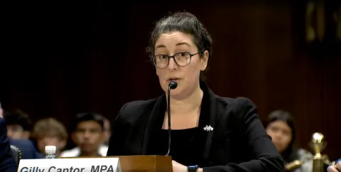 Gilly Cantor speaking at VA committee