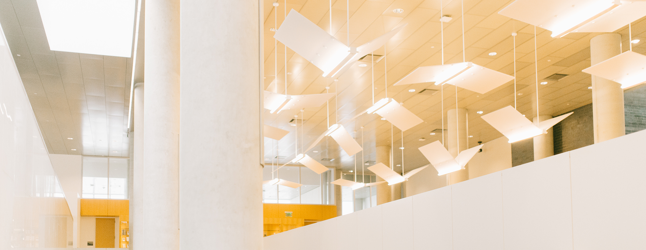 ceiling of dineen hall atrium, showing white pillars and lights meant to evoke the flight of birds in their design