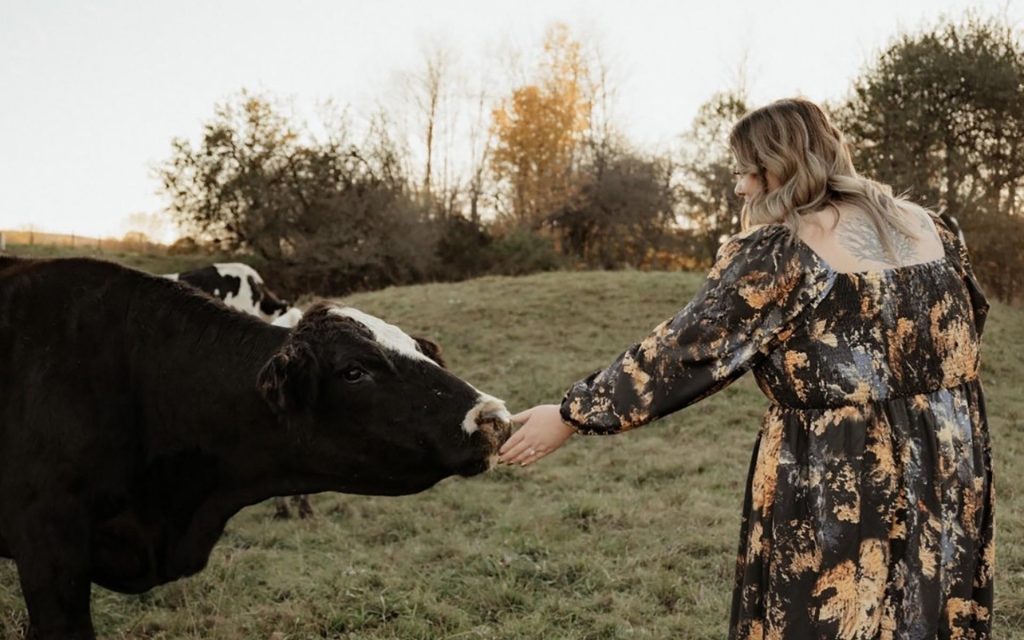 Megan Poole Cow 1920x1200 1024x640