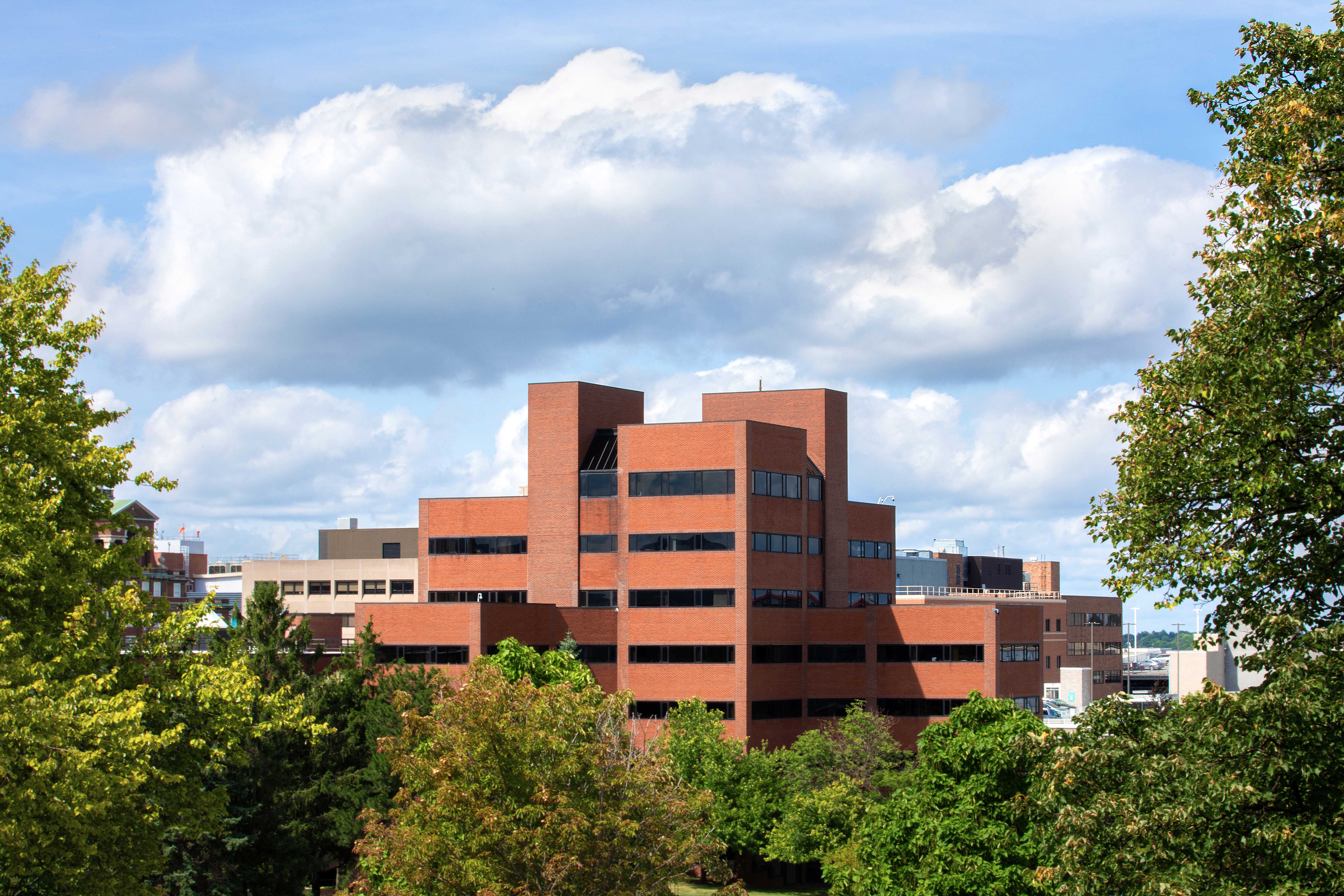 Crouse Hinds Hall rises up above trees into a blue cloudy sky.